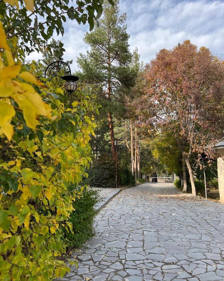 Ripa Ξενοδοχείο Tsaghkadzor Εξωτερικό φωτογραφία
